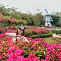 評論圖片 2