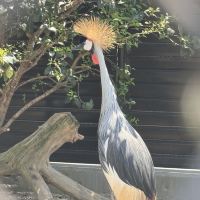 評論圖片 4
