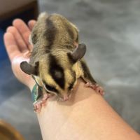 評論圖片 4