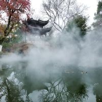 評論圖片 1