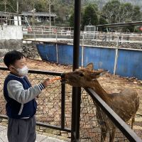 評論圖片 4