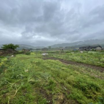 評論圖片 7