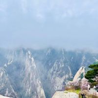評論圖片 5