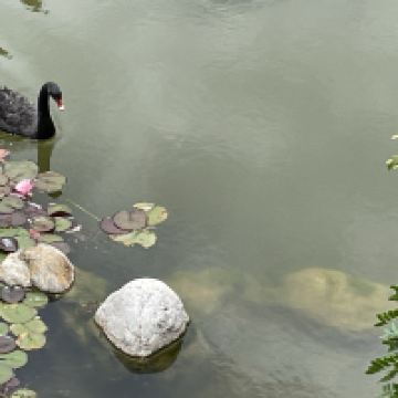評論圖片 9