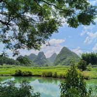 評論圖片 7