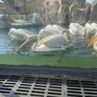 評論圖片 7
