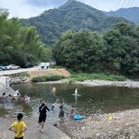 評論圖片 5