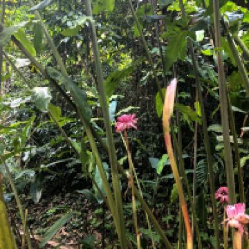 評論圖片 4