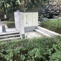 評論圖片 7