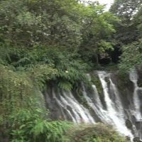 評論圖片 4