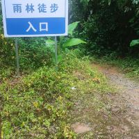 評論圖片 1