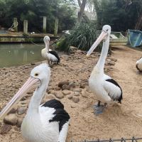 評論圖片 6