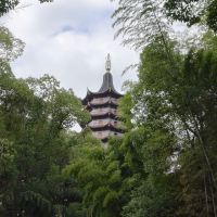 評論圖片 1