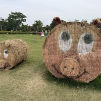 評論圖片 8