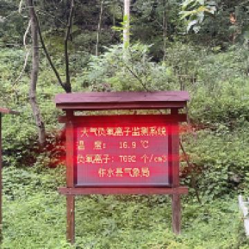 評論圖片 2