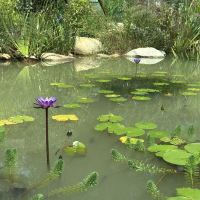 評論圖片 3