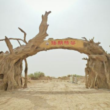 評論圖片 2