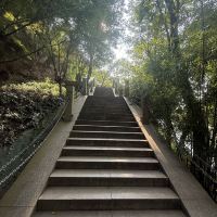 評論圖片 6
