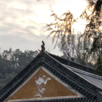 評論圖片 5