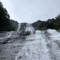 評論圖片 7