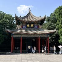 評論圖片 2
