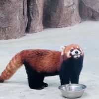 評論圖片 4
