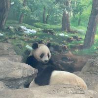 評論圖片 7