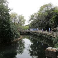 評論圖片 3