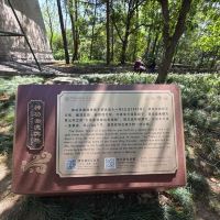 評論圖片 8