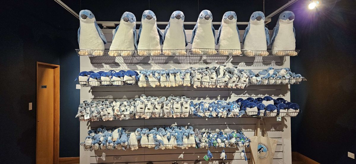 Ōamaru Penguins Tickets [2026] - Promos, Prices, Reviews & Opening