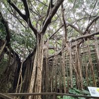 評論圖片 2