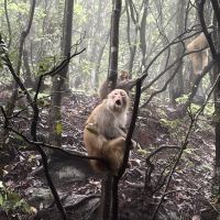 評論圖片 8