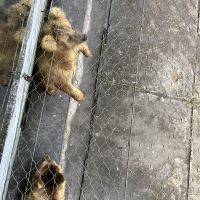 評論圖片 1