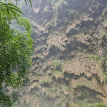 評論圖片 8