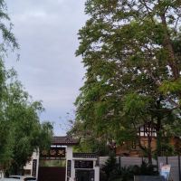 評論圖片 2