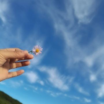 評論圖片 4