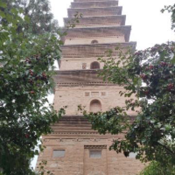 評論圖片 6
