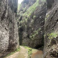 評論圖片 5
