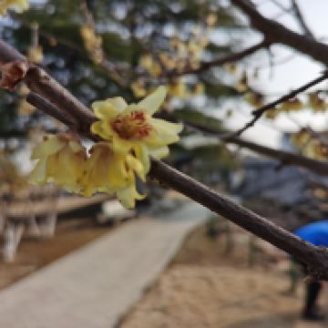 評論圖片 5