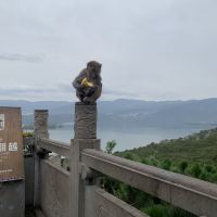 評論圖片 1