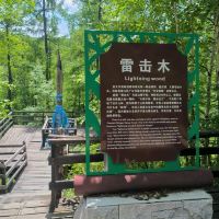 評論圖片 1