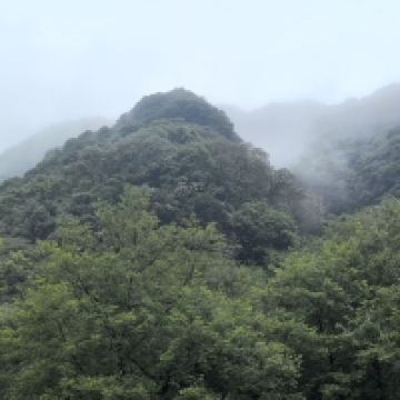 評論圖片 4