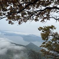 評論圖片 5