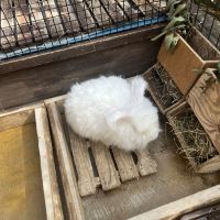 評論圖片 6