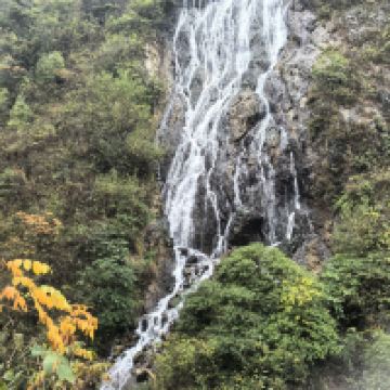 評論圖片 5
