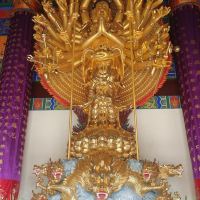 評論圖片 8