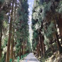 評論圖片 2