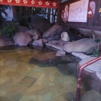 評論圖片 4