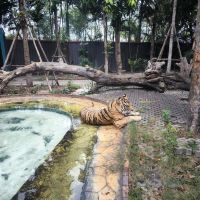 評論圖片 8