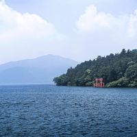 評論圖片 6
